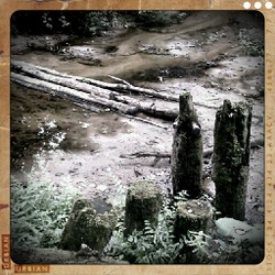 Highlight for album: Kloogarand, 28.08.2010