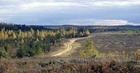 V�rviliseks kiskuvad maastikud..