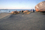 IMG 6703