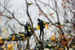 Aardeotsijad sobiva varustusega? L�ksid Pakrilt sukelduma.