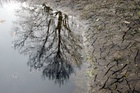 Tuhala N�iakaev. M�rg ja kuiv.
