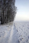 Enne Rakveret tegime peatuse - tohutu udu- ja p�ikesem�ng k�is p�ldudel.