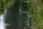 Lasi jalga see veeloom. Mitte Viljandi folgile.