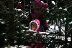 Highlight for album: Kuuske otsimas, 19.12.09