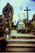 Ristimägi Palanga lähedal: mägi, kuhu hakati tooma riste, on nüüd nende alla mattunud.