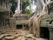 Ta Prohm, Angkor Wat, Kambodža