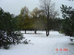 sügis 2003