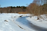 Vahiküla matkarada