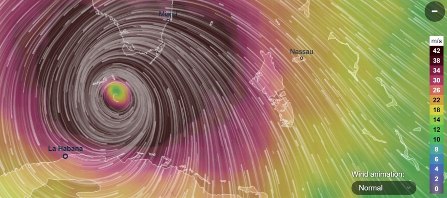 Orkaan irma