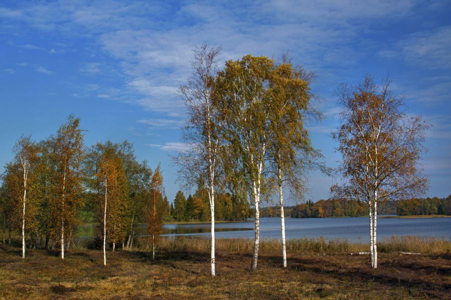 Pühajärv, Otepää