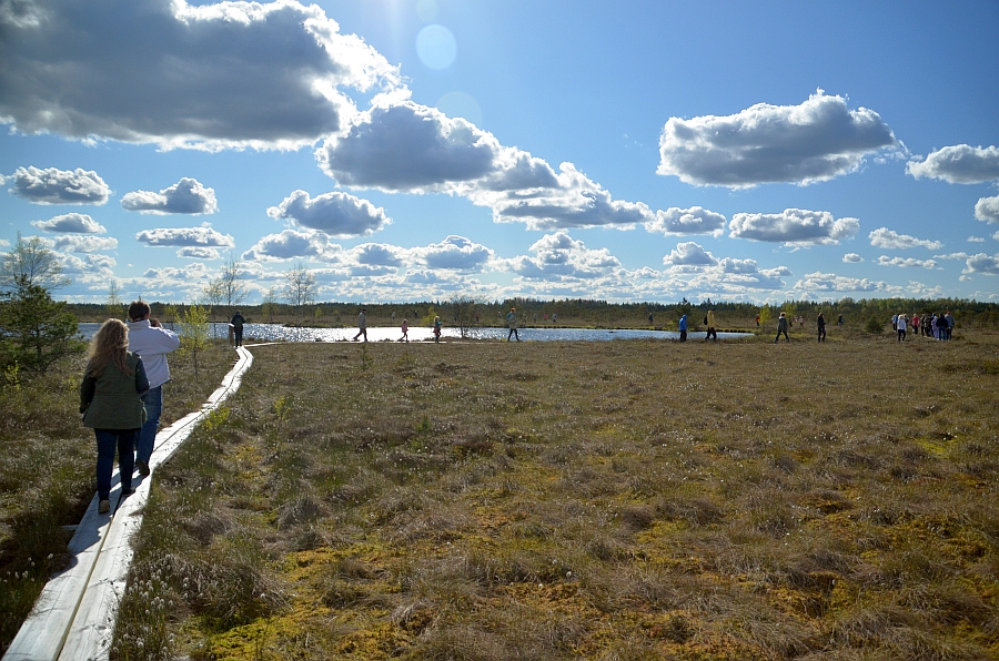 Looduse Omnibuss Kodru rabas. Foto: Kaido Einama