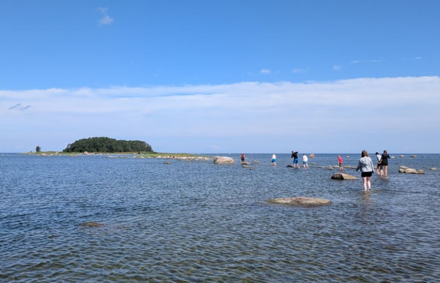 Teekond Kuradisaarele. (C) Reisijutud