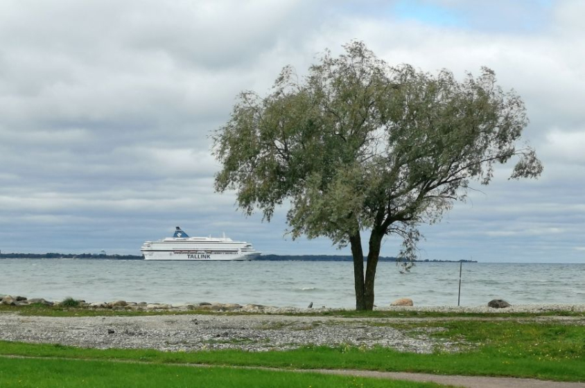 Tallinki laev