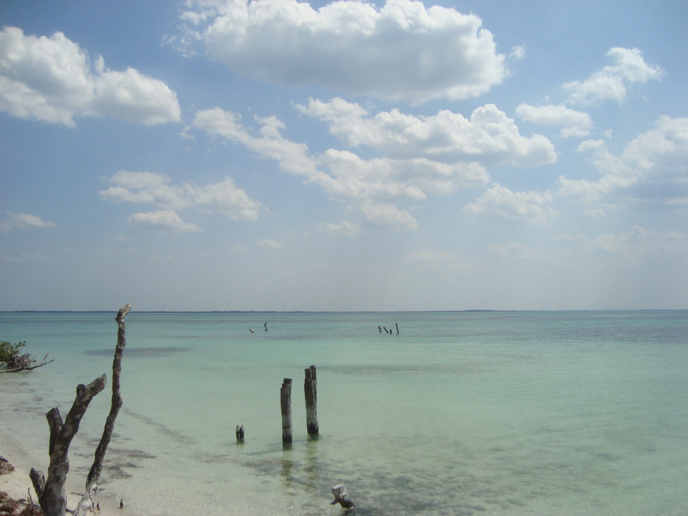 Isla Pasión. Forto: Eurimaco, Wikimedia Commons