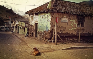 Ecuador. Foto: (CC) Elijah Lovkoff / Pixabay