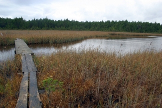 Valgejärve matkarada. Foto: (C) Kaido Einama