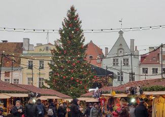 Tallinna jõulukuusk 2019. Foto: Kaido Einama