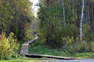 Pääsküla raba Tallinnas.